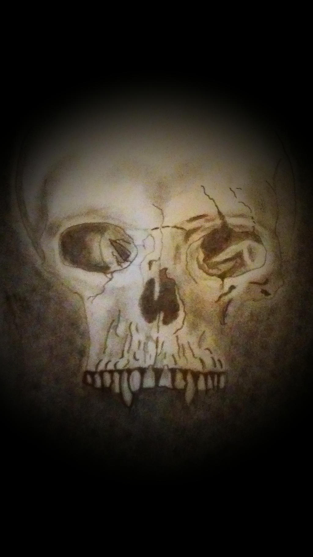 Skull