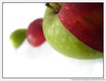 Two halves make a whole. by ELogan-Photography