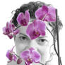 Mark Varley - Orchidaceae
