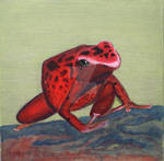 Red Frog by mantisgraffix