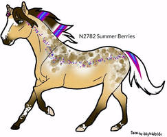 N2782 Summer Berries Padro