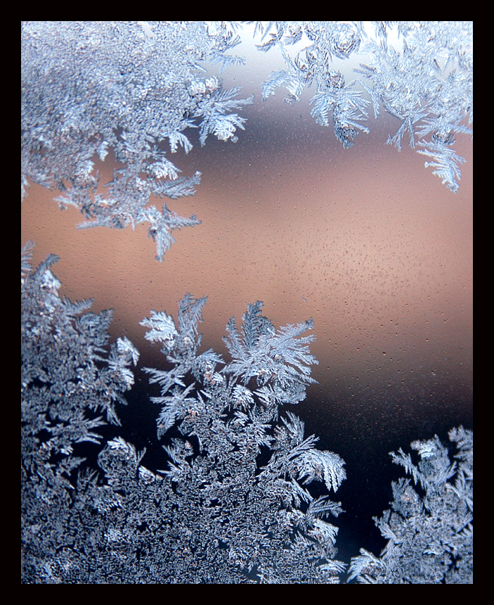 Window Frost