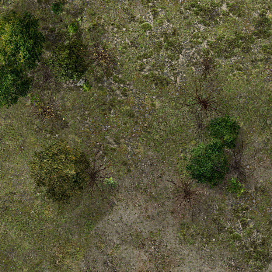 Sparse Forest Random Encounter Map by thedarklorax on DeviantArt