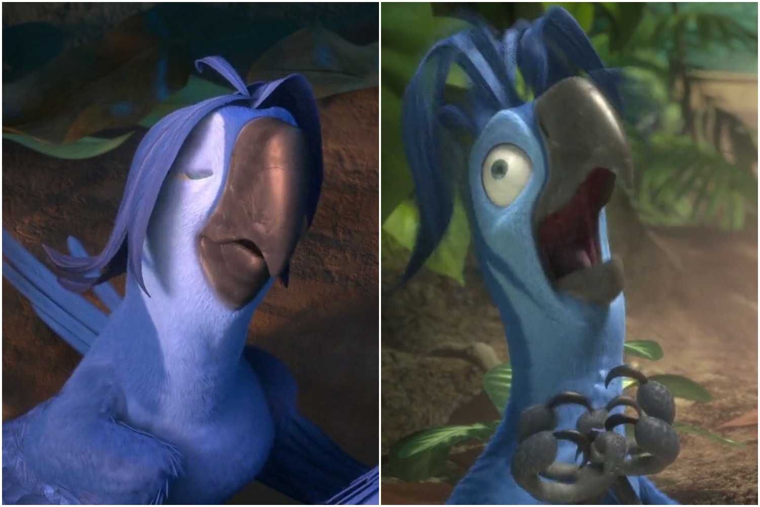 Roberto S Unseen Looks From Rio 2 By Penguindareangel12 On Deviantart Roberto S Unseen Looks From Rio 2 By Penguindareangel12 On Deviantart
