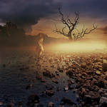 Tree in glare by twuone