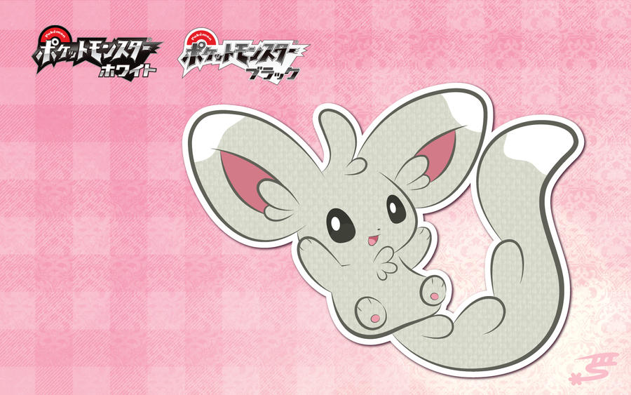 Minccino Wallpaper