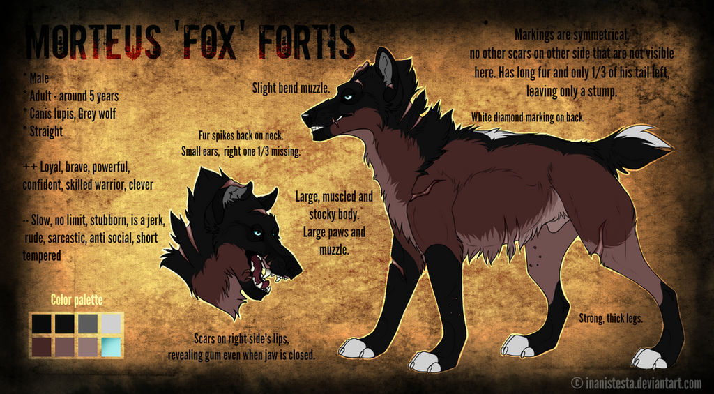 Fox Reference Sheet 2015 by Nafeera on DeviantArt