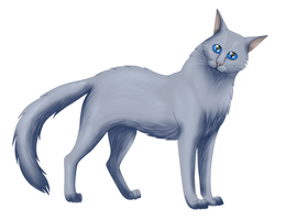 Warriors: Bluestar