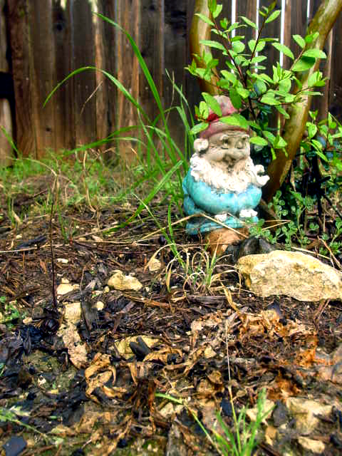 The Gnome