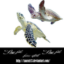 Turtle png