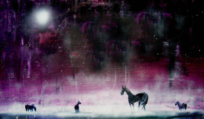 horses and pony's at night