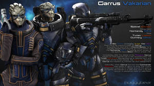 Afterword - Garrus