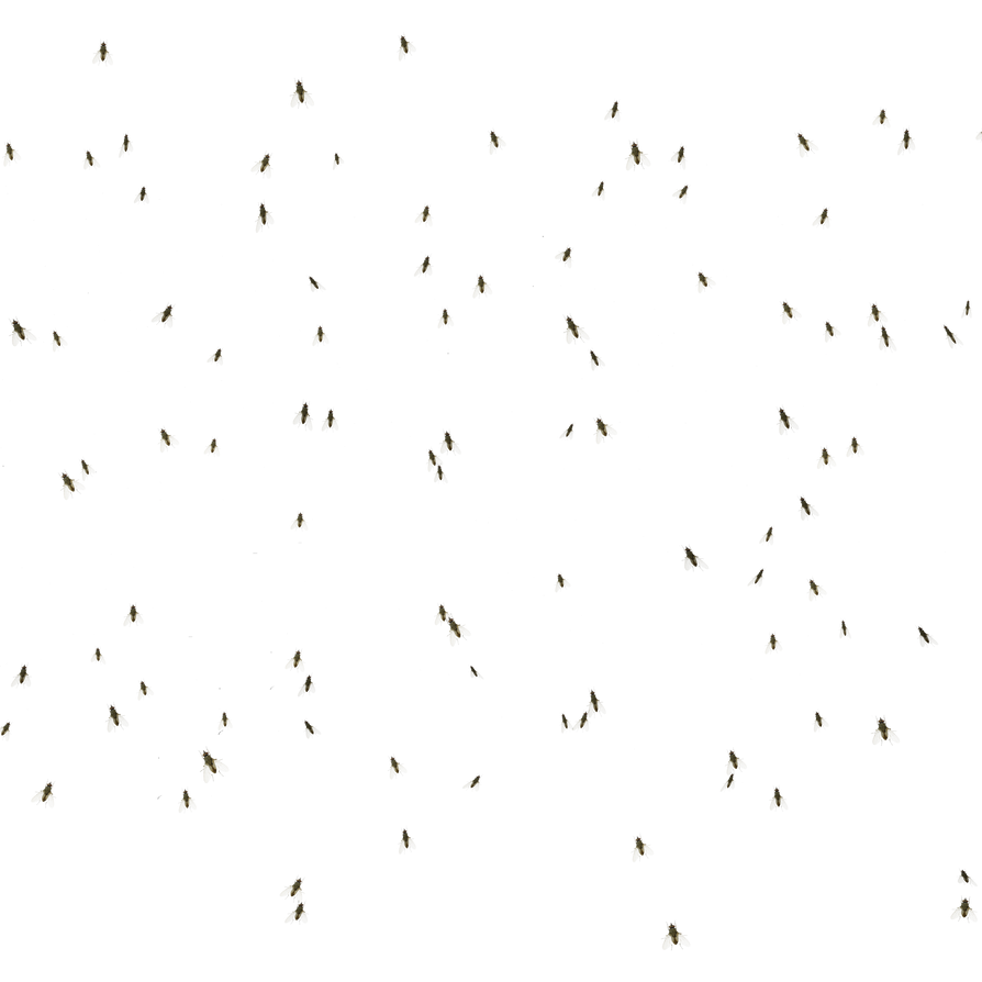3D Fly Swarm by zememz on DeviantArt