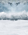 Free Background 54 by zememz