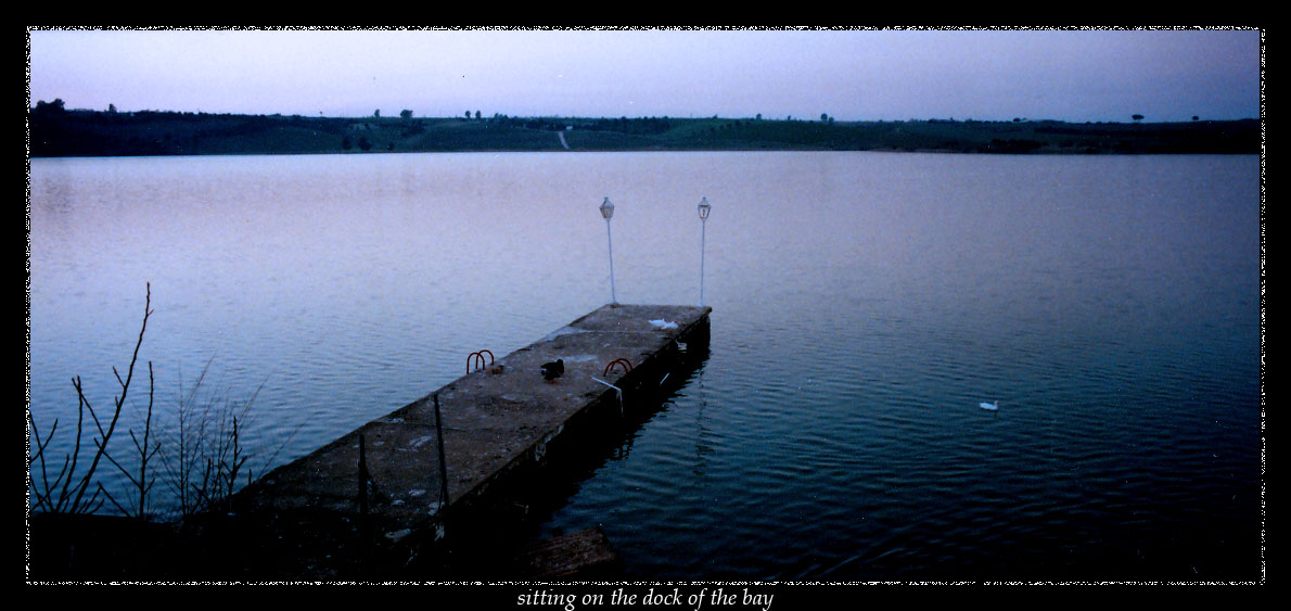 sitting on the dock of the bay