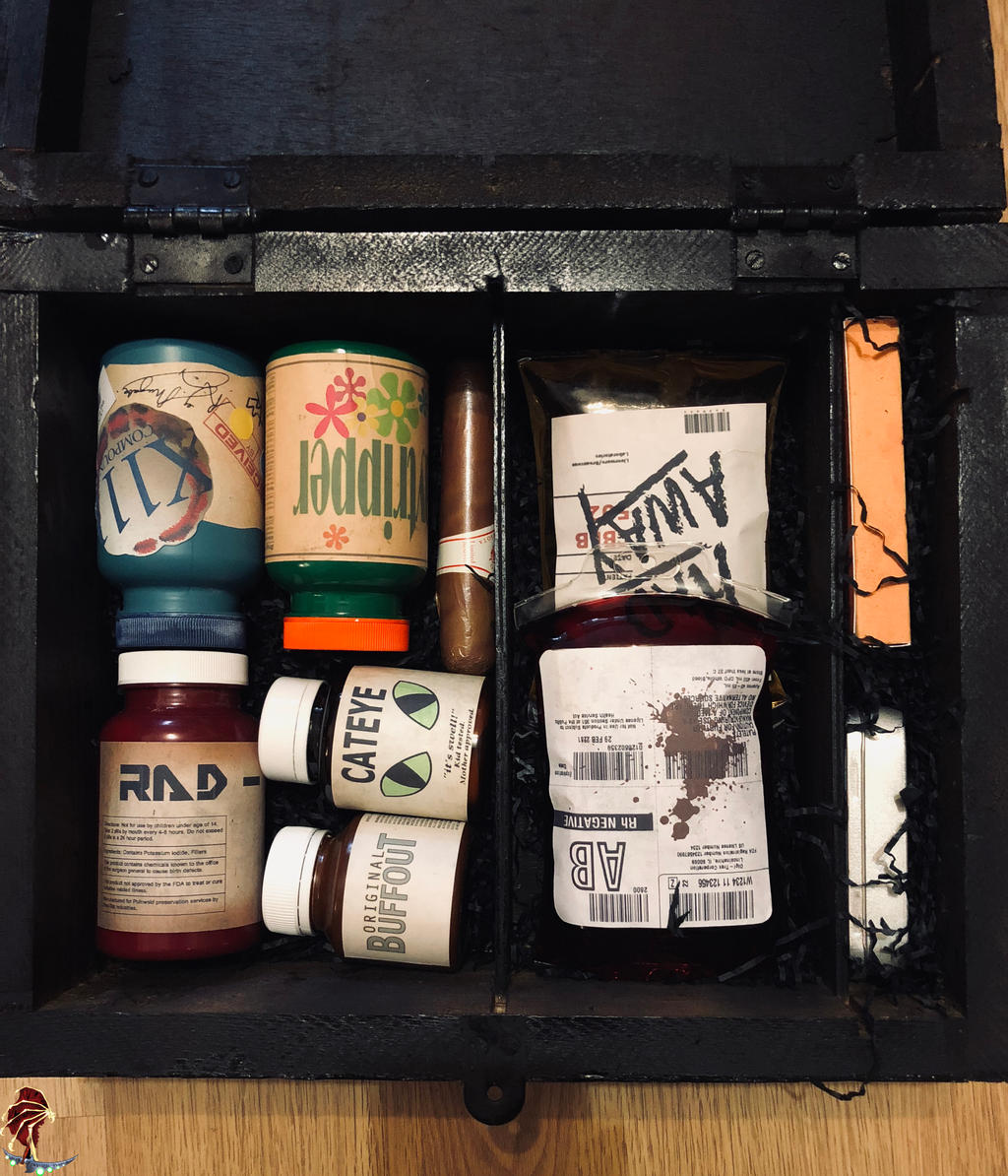 Fallout Gift Box by LoreBox on DeviantArt