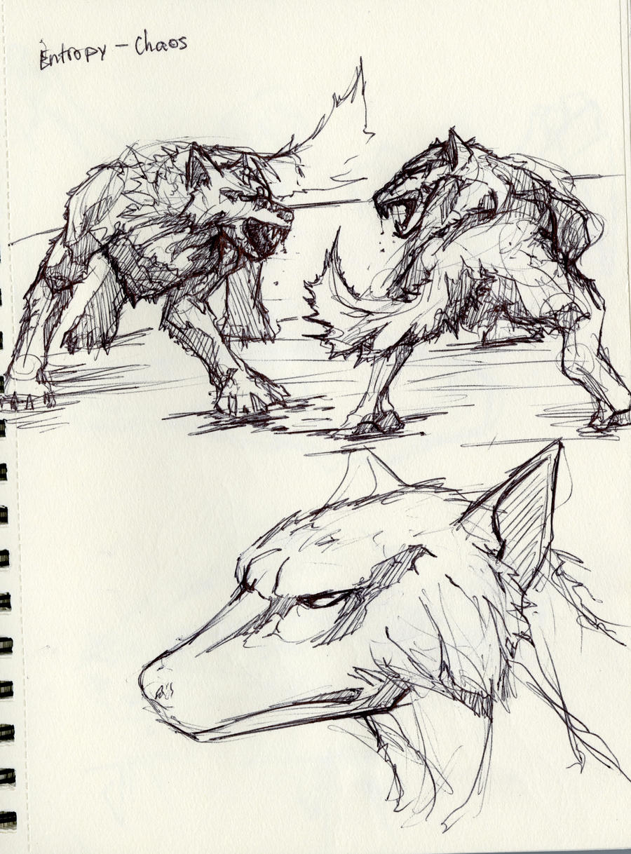 Wolf Anatomy 2 by ravager3 on DeviantArt