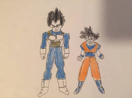 Vegeta and Goku