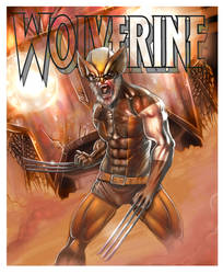 Wolverine old