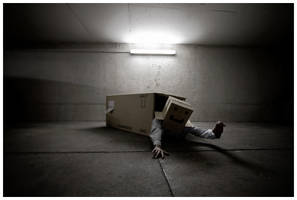 Cardboard Box Head 5