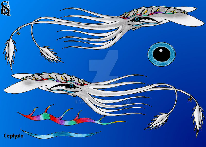 Cephalo Cephalo by Yaka7 on DeviantArt