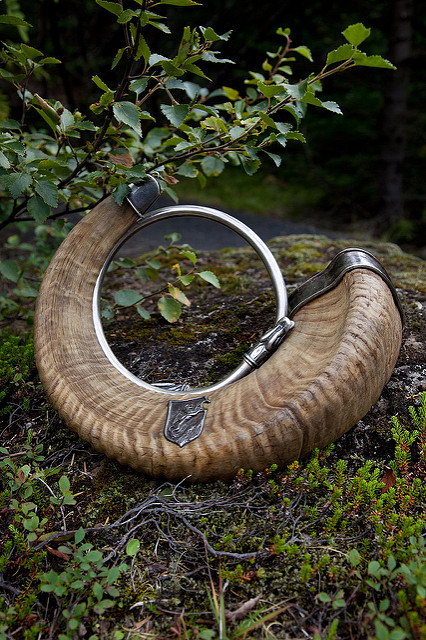 Drinking horn and dragon ring