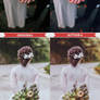 Wedding Photoshop Actions