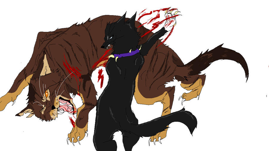 Tigerstar's death- Scourge vs Tigerstar by Shattered-YingYang on D...