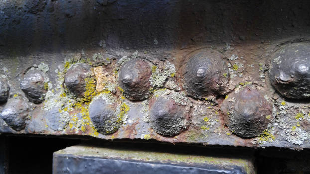 Razorshroud - Hobbyist, Photographer | DeviantArt