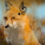 Beautiful fox furry art, trending on Artstation