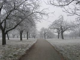 Winter 2007