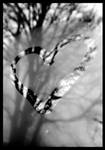 I.l.y. by rose--thorn