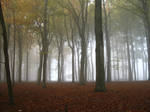 Welcome to my fairytale. by scorpiandoll