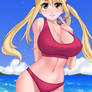 Lucy Heartfilia, 100 Years Quest!