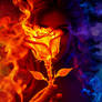 Embersong