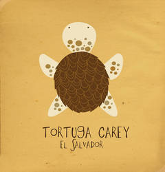 Tortuga Carey