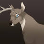 .: Unicorn Deer :.