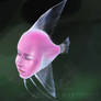 .: Chimera  angelfish :.