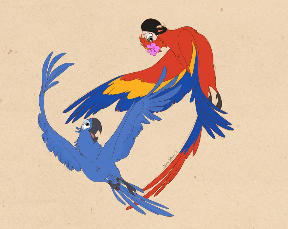 Ridicbird Deviantart Rio .: Rio :. by PirateHearts on DeviantArt