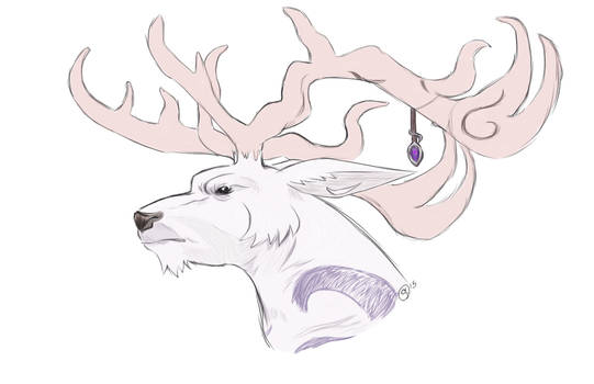 Cerf de rune