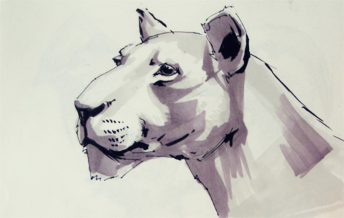 Moleskine: lion