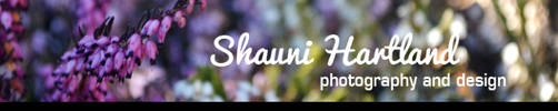 The header of my own website by ShaunStarrr