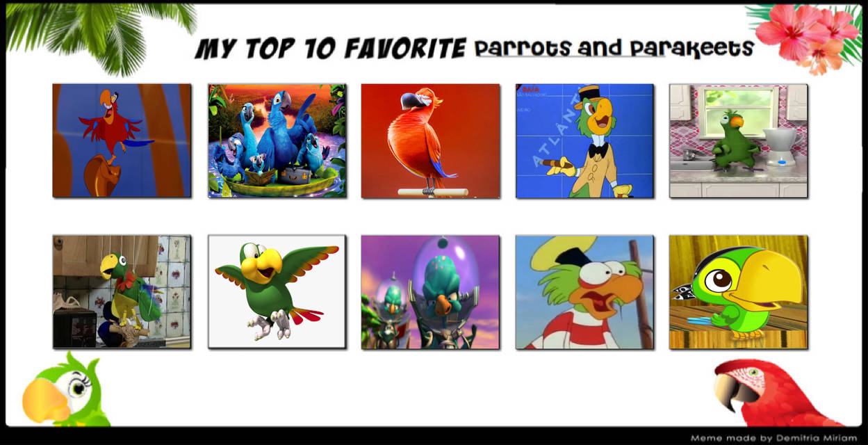 Top 10 Favorite Animated Parrots by ToThinkSuddenly on DeviantArt