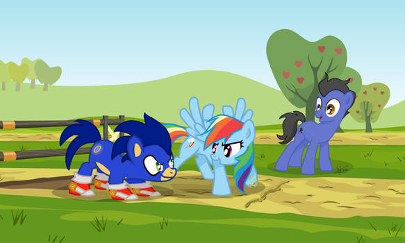 Are you ready?! - MLP Sonic Request Crossover