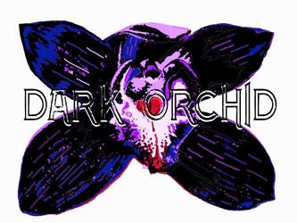 Dark Orchid