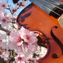 Vivaldi's Spring