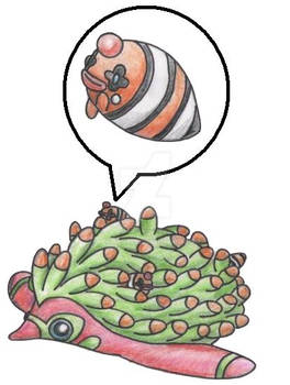 Anemone Pokemon