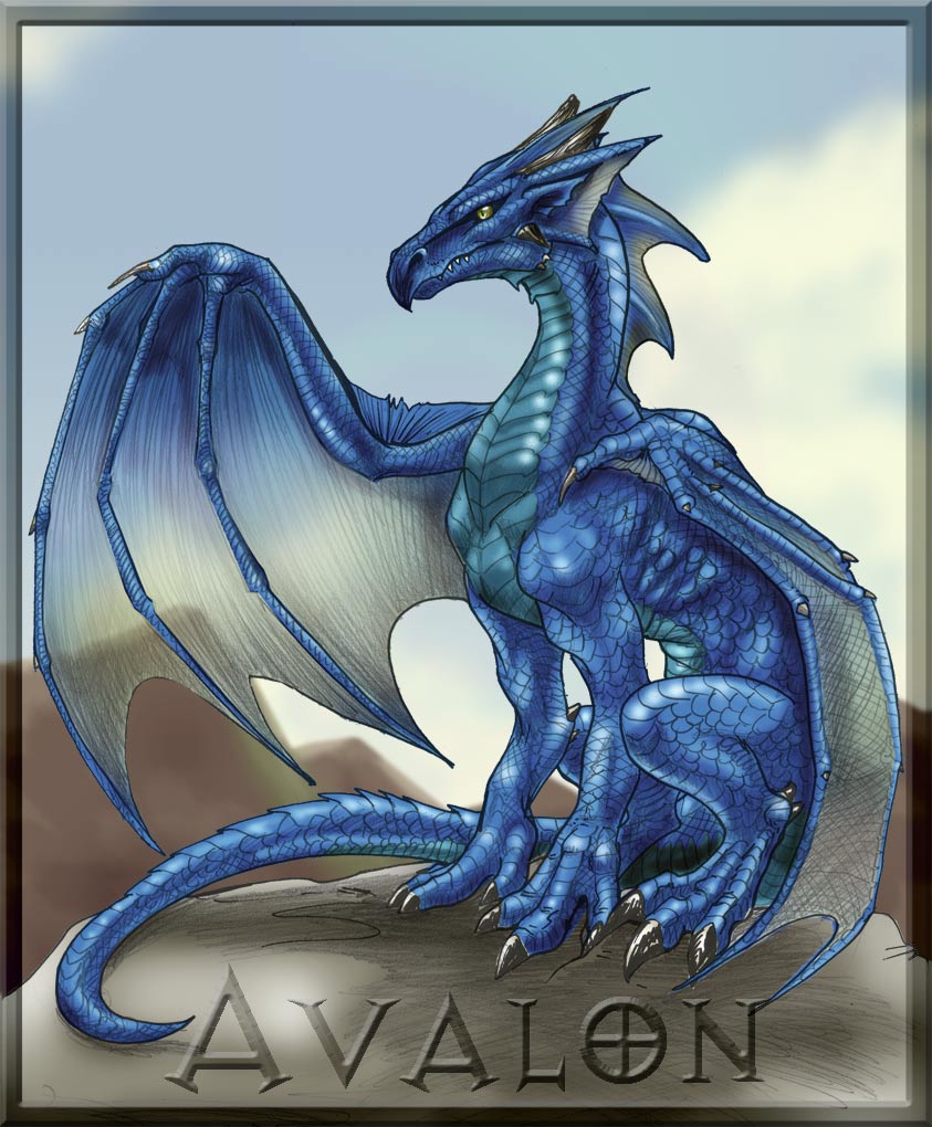 Avalon the blue dragon