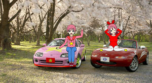 Kirby and Ribbon's cars