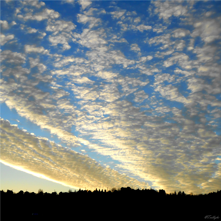 Flying Souls on the Sky...